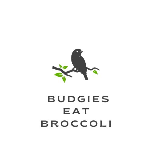 Budgies Eat Broccoli