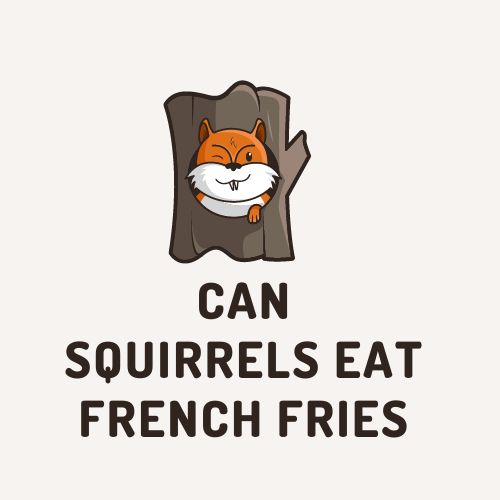 Can Squirrels Eat French Fries