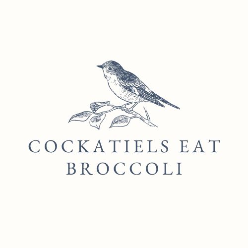 Cockatiels Eat Broccoli