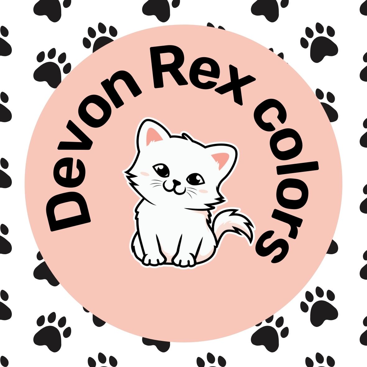 Devon Rex Cat Colors