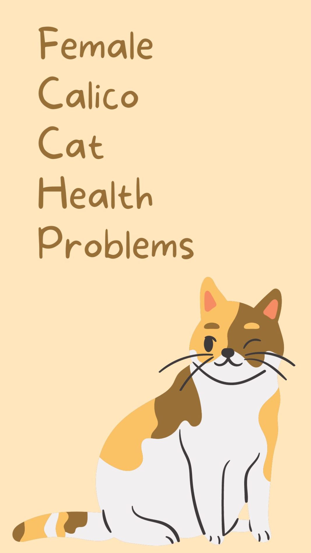 Female Calico Cat Health Problems
