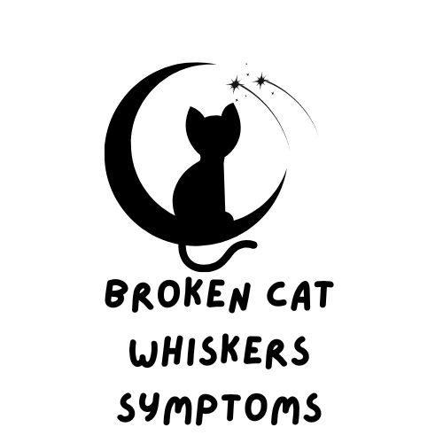 broken cat whiskers symptoms