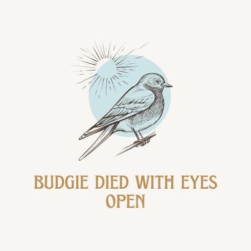 Budgie Died with Eyes Open